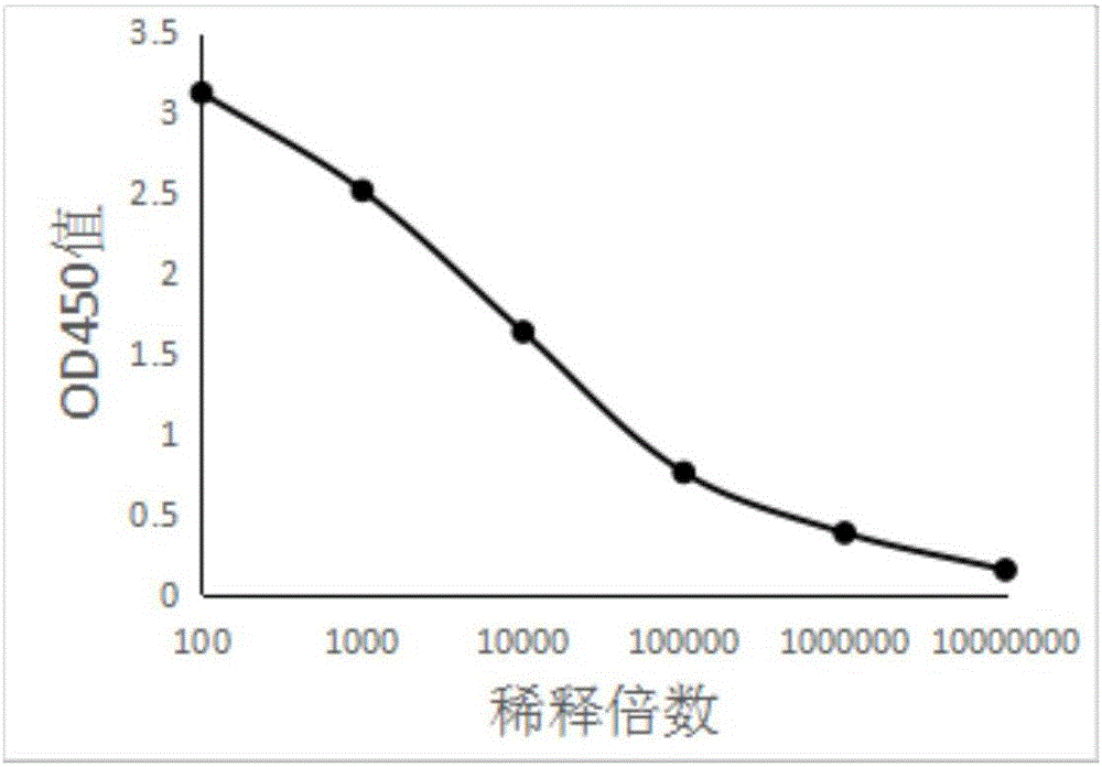 华体会官网