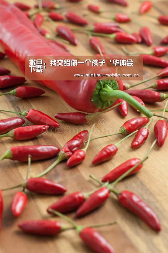 华体会APP下载