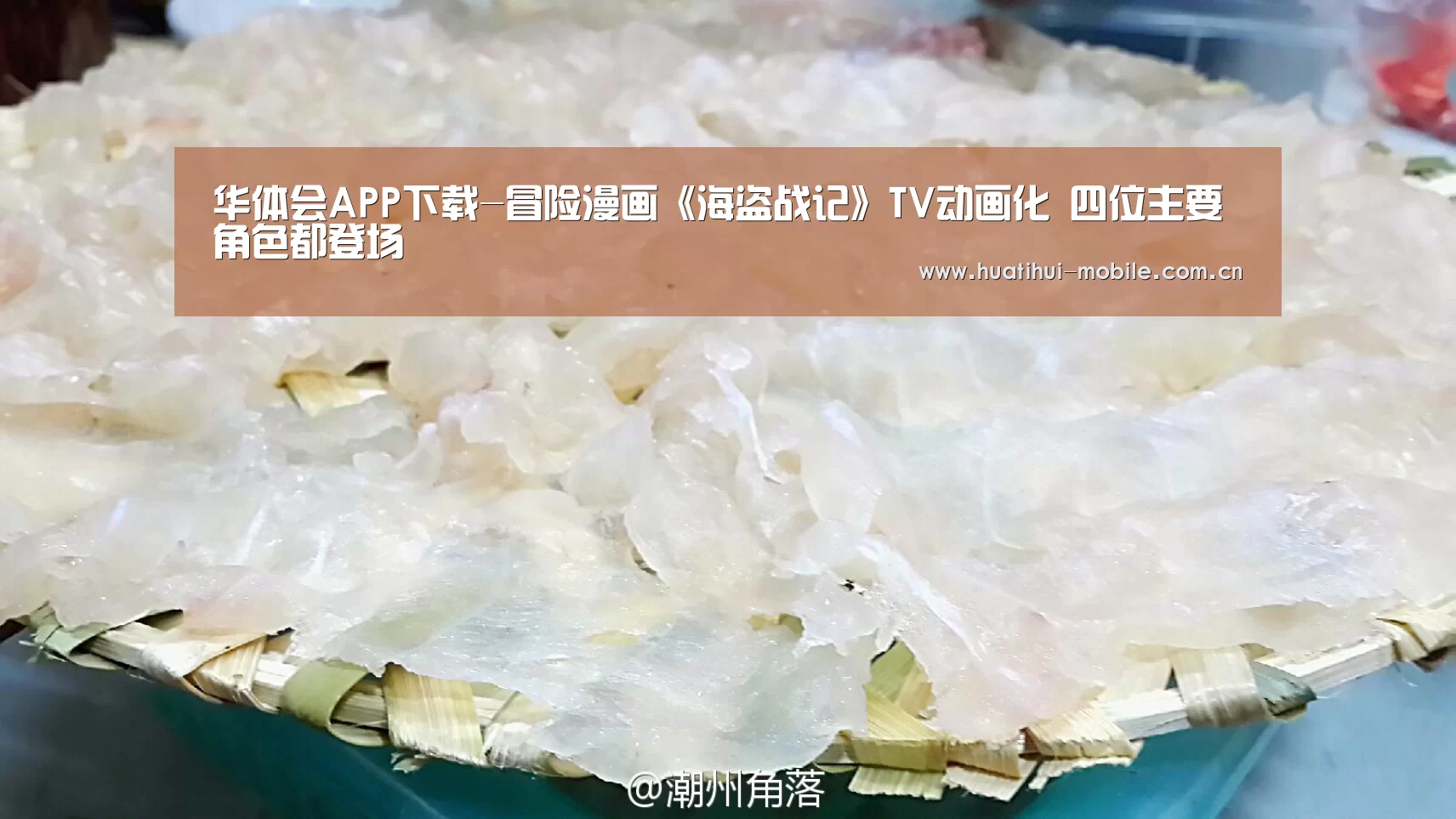 华体会APP下载-冒险漫画《海盗战记》TV动画化 四位主要角色都登场(图1) 华体会官网