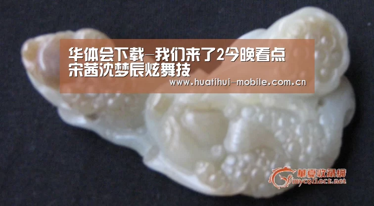 华体会官网