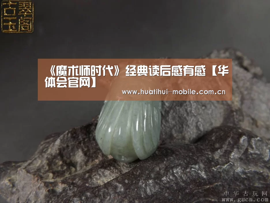 《魔术师时代》经典读后感有感【华体会官网】(图1) 华体会官网