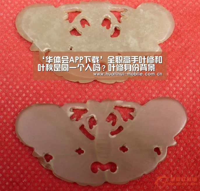‘华体会APP下载’全职高手叶修和叶秋是同一个人吗?叶修身份背景曝光(图1) 华体会下载
