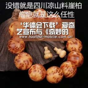 华体会下载