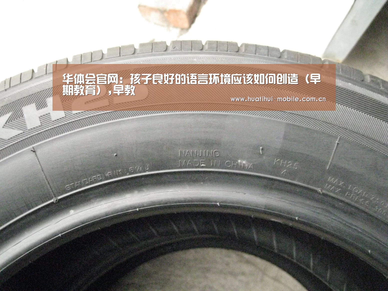 华体会官网:孩子良好的语言环境应该如何创造(早期教育),早教(图1) 华体会官网