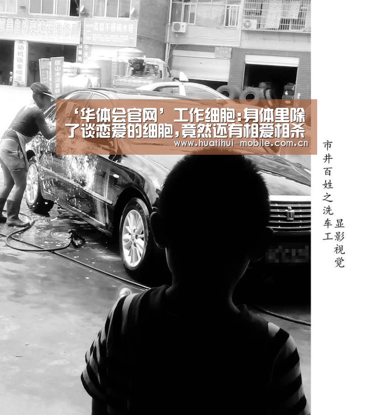 ‘华体会官网’工作细胞:身体里除了谈恋爱的细胞,竟然还有相爱相杀的兄弟(图3) 华体会官网